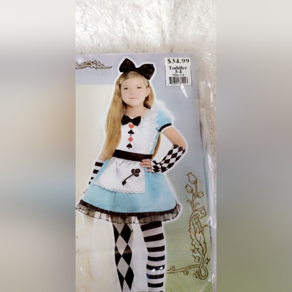 Alice in wonderland costume